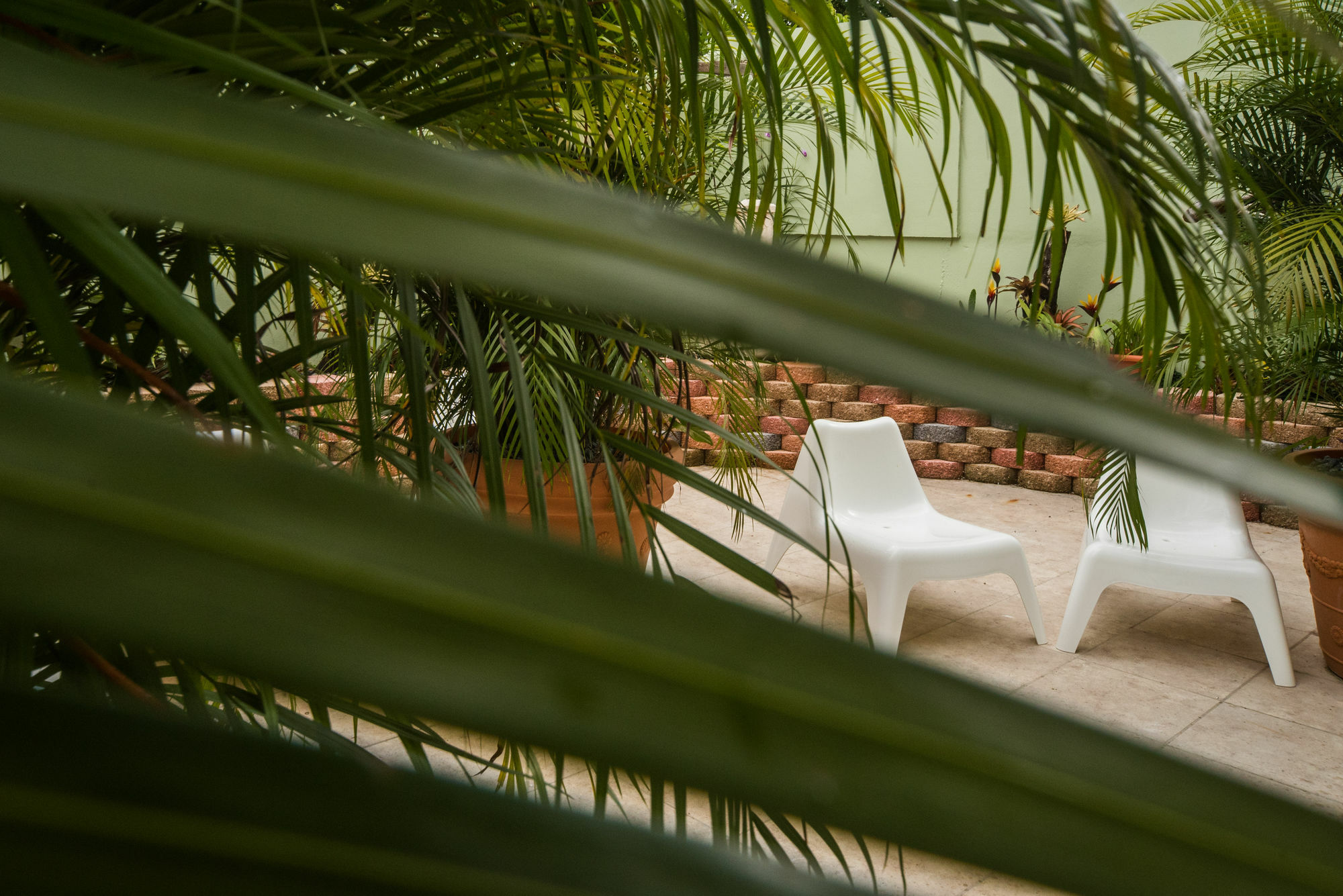 Rincon Plaza Hotel Exterior foto